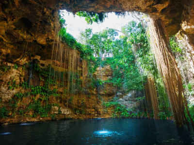 The Ik-Kil Cenote Inlet in Mexico from the water up to the sunlight falling through the trees. The natural wonders of Mexico offer amazing outdoor opportunities for wedding ceremonies and experiences for your destination wedding.