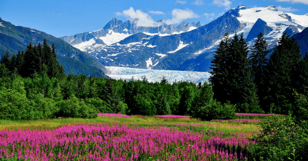 Medenhall Glacier Outlook, Juneau, Alaska. Visit smaller ports in Alaska such as Haines, Icy Straits, Endicott Arm, Valdez, and Glacier Bay.